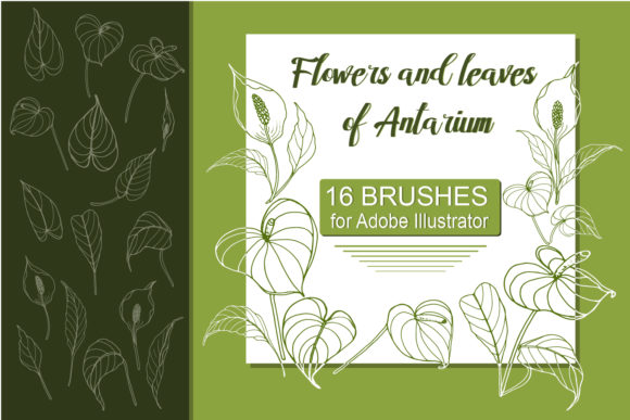 Enhance Your Designs with Antarium Flowers and Leaves Brushes